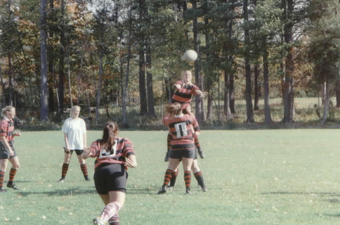 lineout.jpg