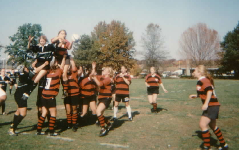 lineout1.jpg