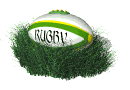 rugby_ball_rocking_md_wht.gif